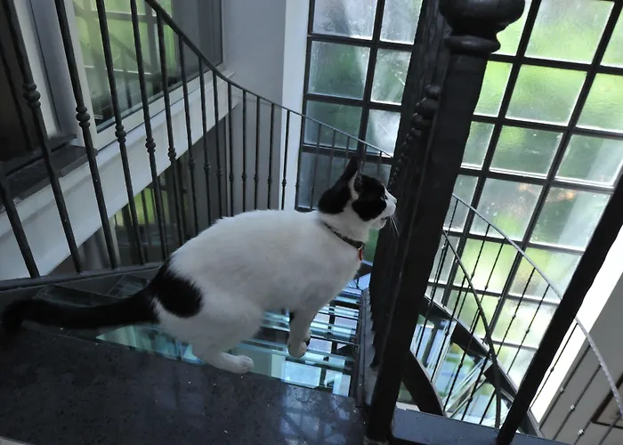 リボリ ソレント