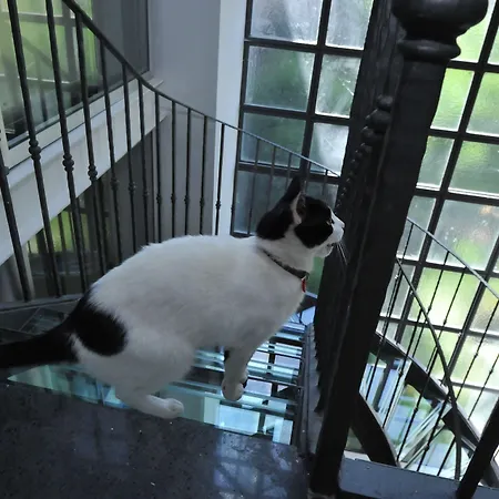 索伦托里沃利酒店 索伦托