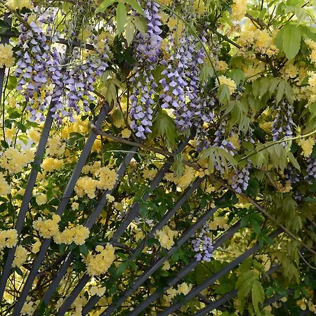 Ξενοδοχείο Rivoli